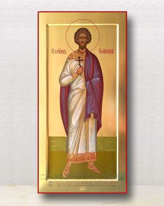 Икона «Емилиан мученик» Ногинск